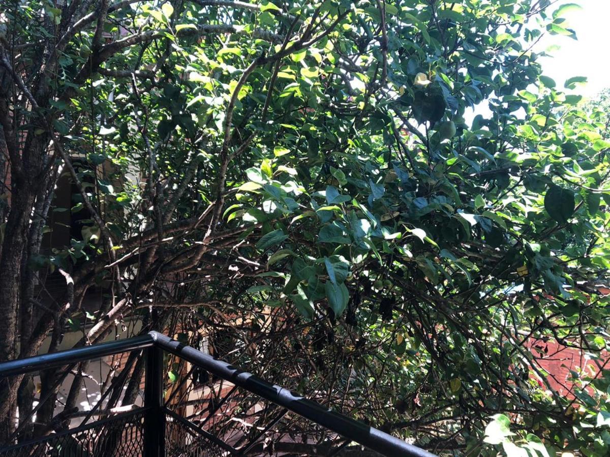 Cabanas Dorys Cataratas Del Iguazu 푸에르토이과수 외부 사진